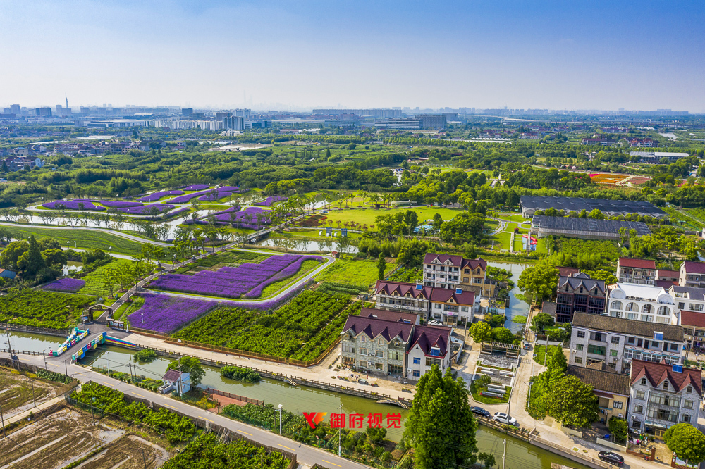 上海浦东,周浦花海,旅游景区,航拍摄影