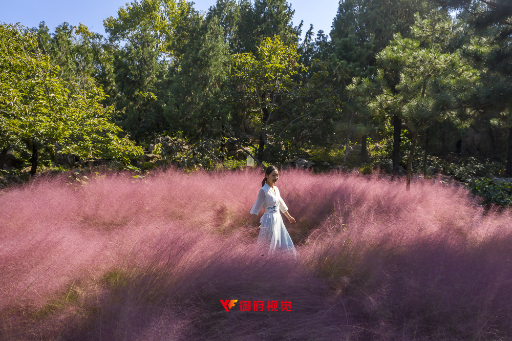 七松山,旅游景区,航拍摄影